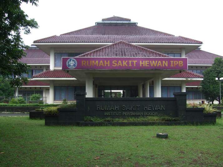 3rd Annual Congress - Photo 6